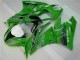 Purchase 2009-2012 Green Black LeoVince Kawasaki ZX6R Motorcycle Fairing Kit UK